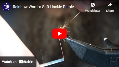 Tying a Rainbow Warrior CDC Soft Hackle Fishing Fly